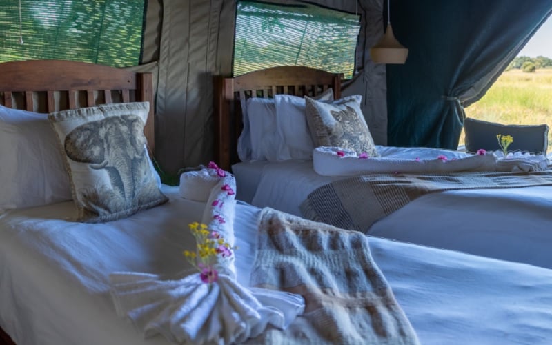 Bontsintsi Horse Safaris Okavango Delta